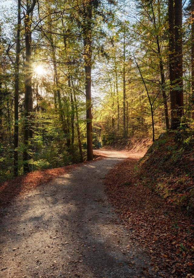 Adult Counselling therapy North Carolina