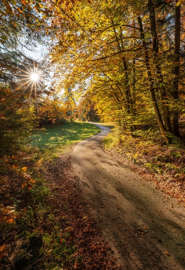 EMDR_Therapist North Carolina